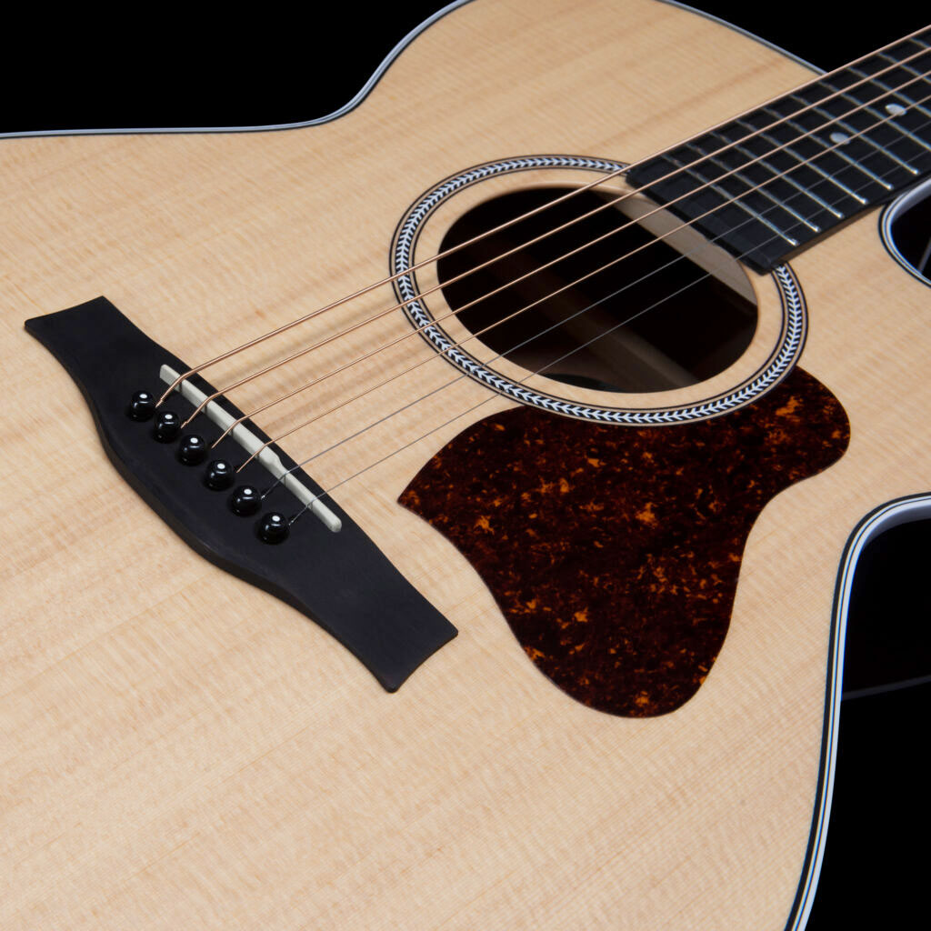 Seagull Maritime Sws Ch Cw Presys Concert Hall Epicea Acajou Ric - Natural Semi Gloss - Guitare Folk - Variation 1