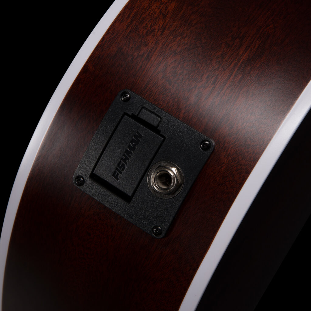 Seagull Maritime Sws Ch Cw Presys Concert Hall Epicea Acajou Ric - Natural Semi Gloss - Guitare Folk - Variation 4