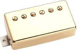 Micro guitare electrique Seymour duncan Saturday Night Special Neck Gold