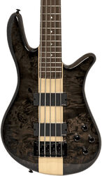 Basse électrique solid body Spector Dan Briggs NS-2000/5 - Black/walnut stain