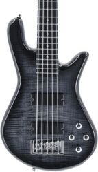 LEGEND SERIE STANDARD 5 HH EB - black stain