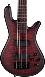 NS Pulse II 5 - Black Cherry Matte