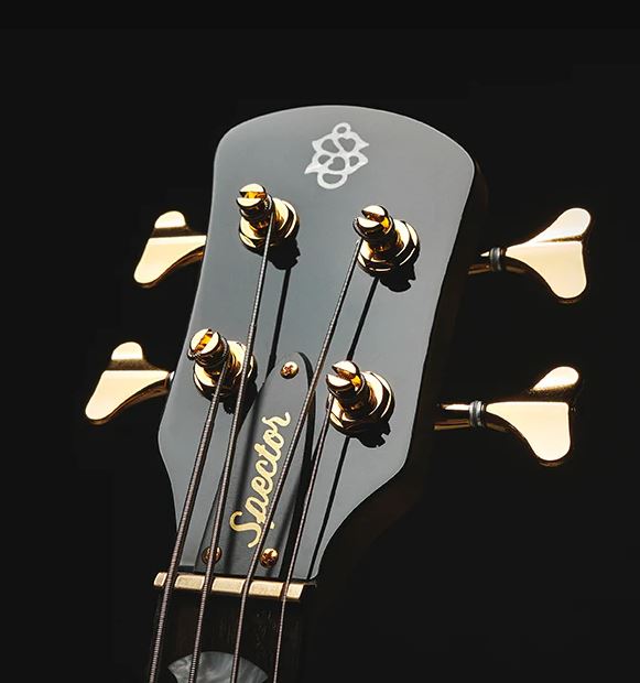 Spector Icon Ns-2 Bolt-on Rw - Black Stain Gloss - Basse Électrique Solid Body - Variation 2