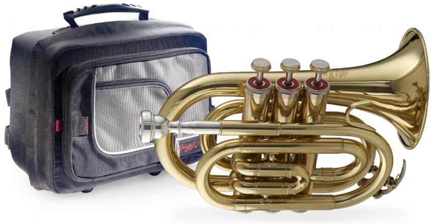 Trompette étude Stagg 77MTRDSC