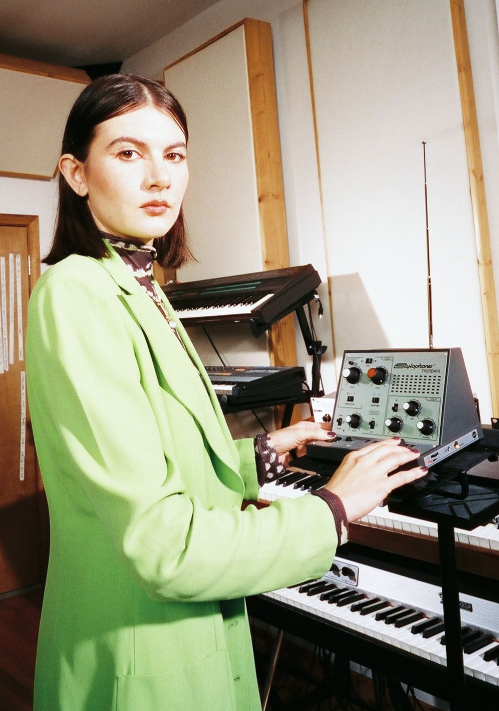 Stylophone Theremin - SynthÉtiseur - Variation 9