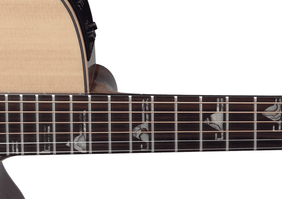 Takamine Dsf48c Nex Jap Epicea Palissandre Eb Ctf2n - Natural - Guitare Folk - Variation 2