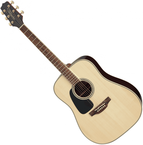 acoustic guitar