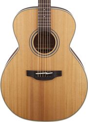 Guitare folk Takamine GN20-NS - Natural satin