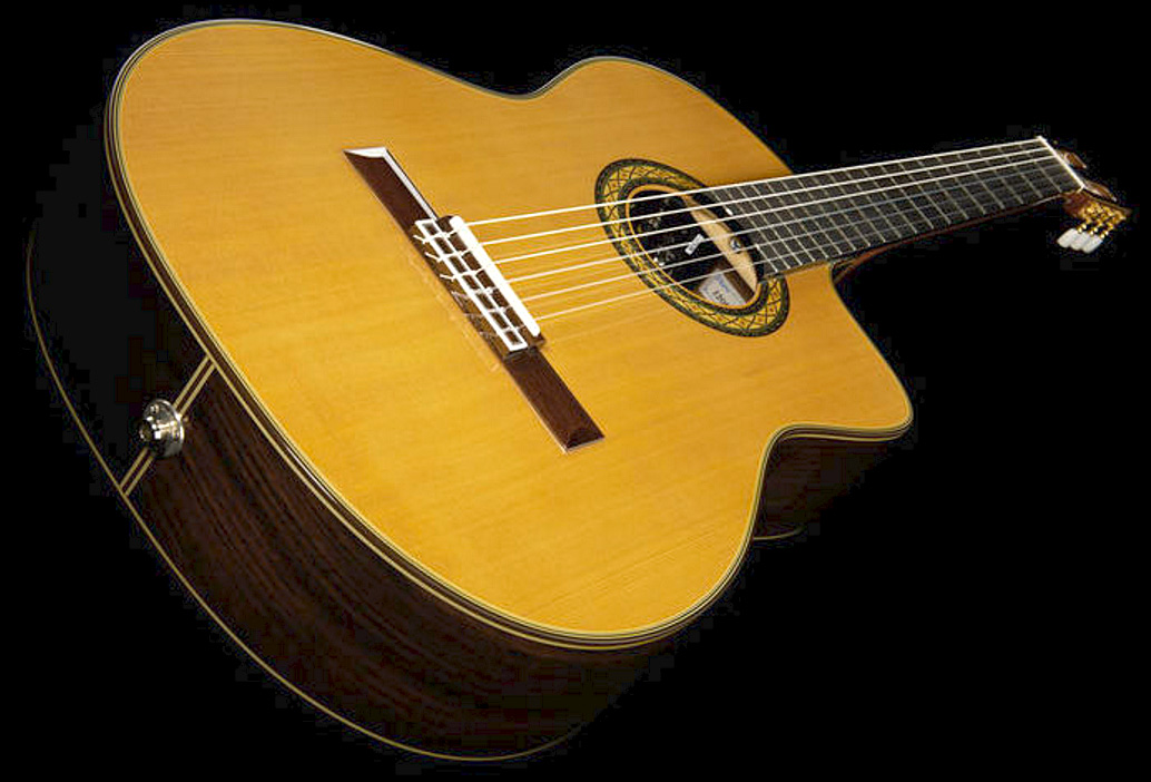 Takamine Th5c Hirade Japon Cw Cedre Palissandre Rw Ctp-3 - Natural Gloss - Guitare Classique Format 4/4 - Variation 2
