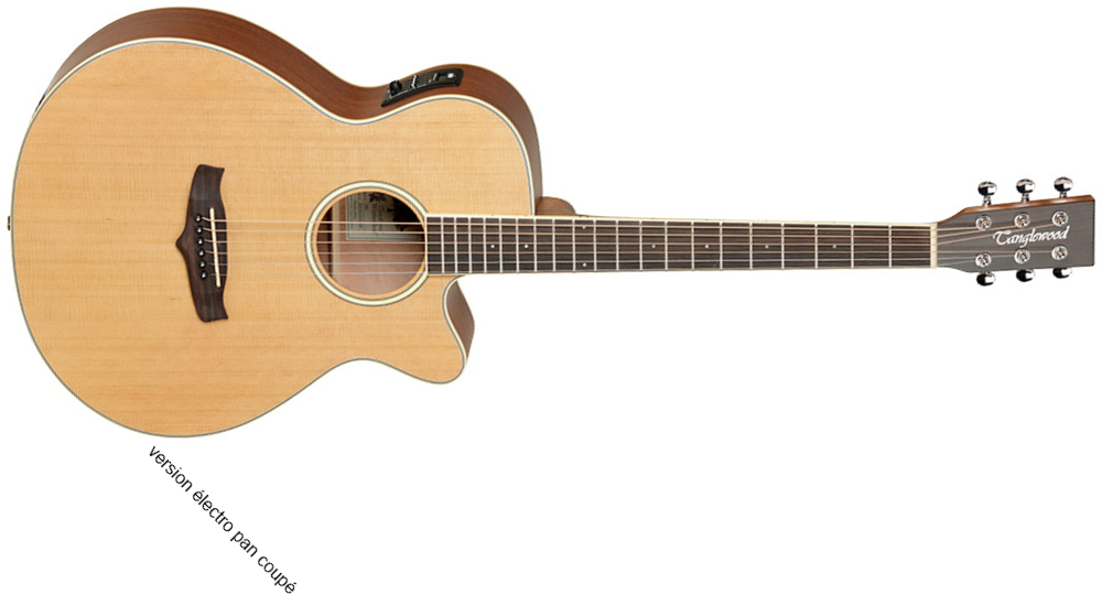 Tanglewood Tw9 Winterleaf Super Folk Auditorium Cedre Acajou Tec - Natural Satin - Guitare Acoustique - Main picture