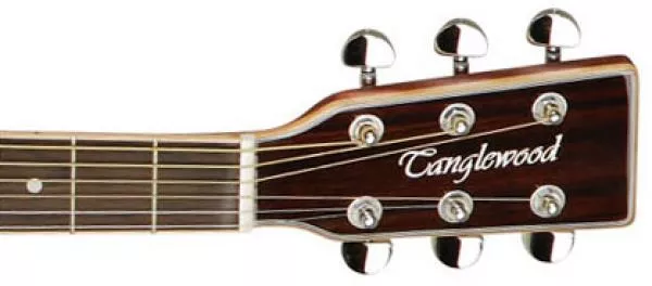 Guitare electro acoustique Tanglewood TW28 CSN CE Evolution V - natural satin