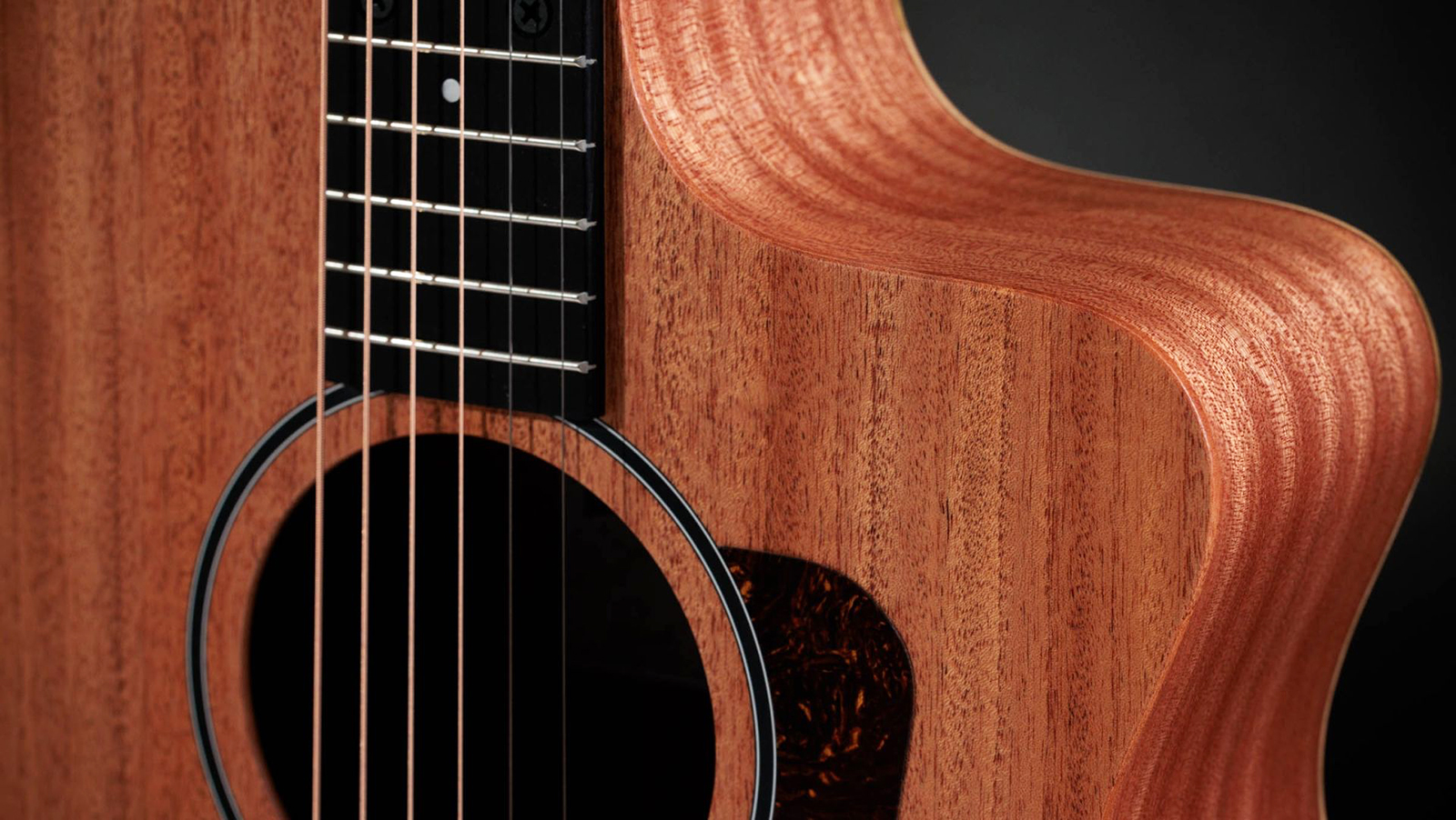 Taylor 24ce Grand Auditorium Cw Tout Sapele Eb - Natural Matte - Guitare Folk - Variation 3