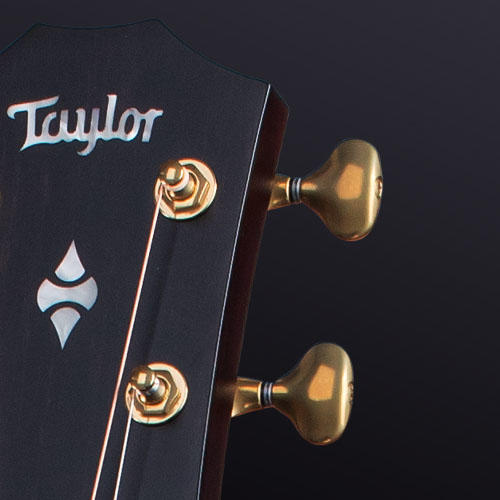 Guitare electro acoustique Taylor Builder's Edition 324ce V-Class - natural