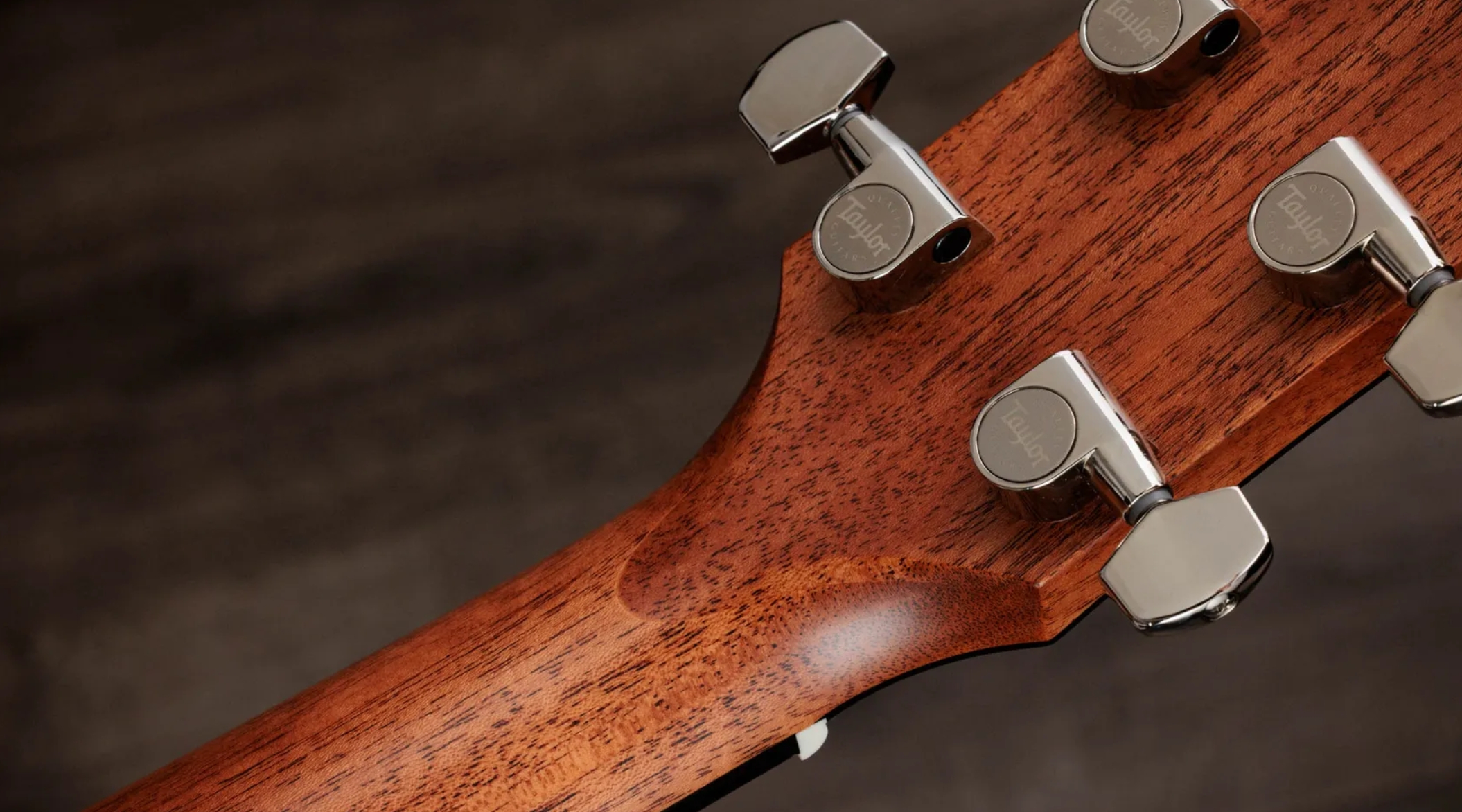 Taylor 510e Gold Label Dreadnought Epicea Acajou Eb - Natural - Guitare Folk - Variation 9