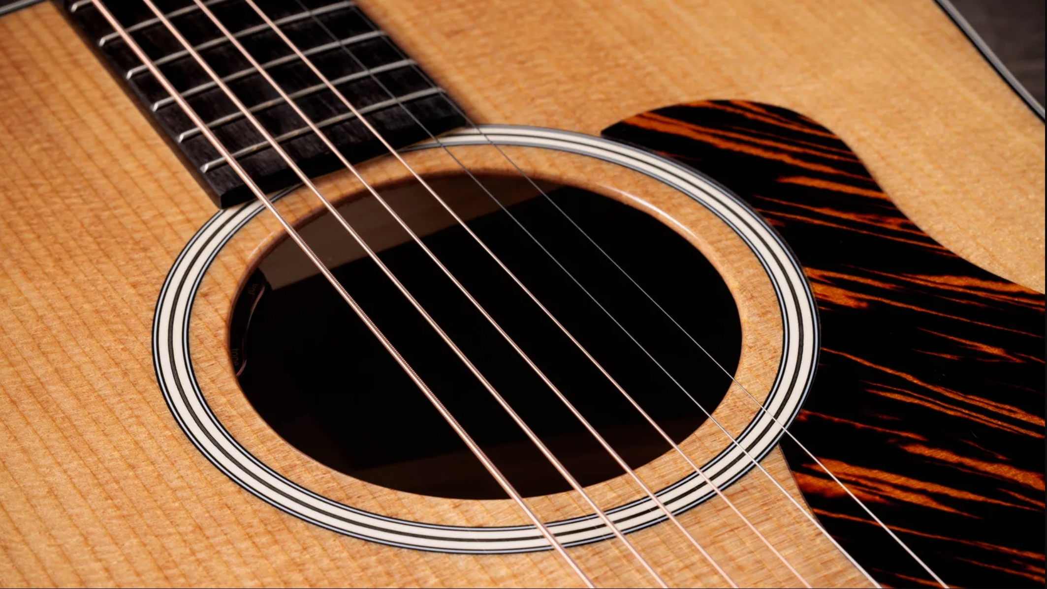 Taylor 510e Gold Label Dreadnought Epicea Acajou Eb - Natural - Guitare Folk - Variation 2