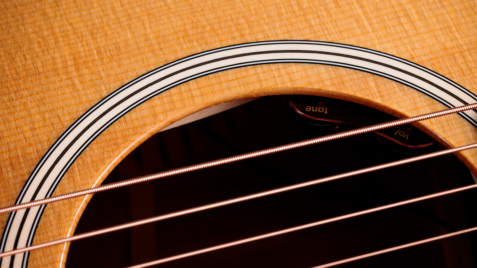 Taylor 512e Gold Label Grand Concert Cw Epicea Acajou Eb Lr Baggs - Natural - Guitare Folk - Variation 5