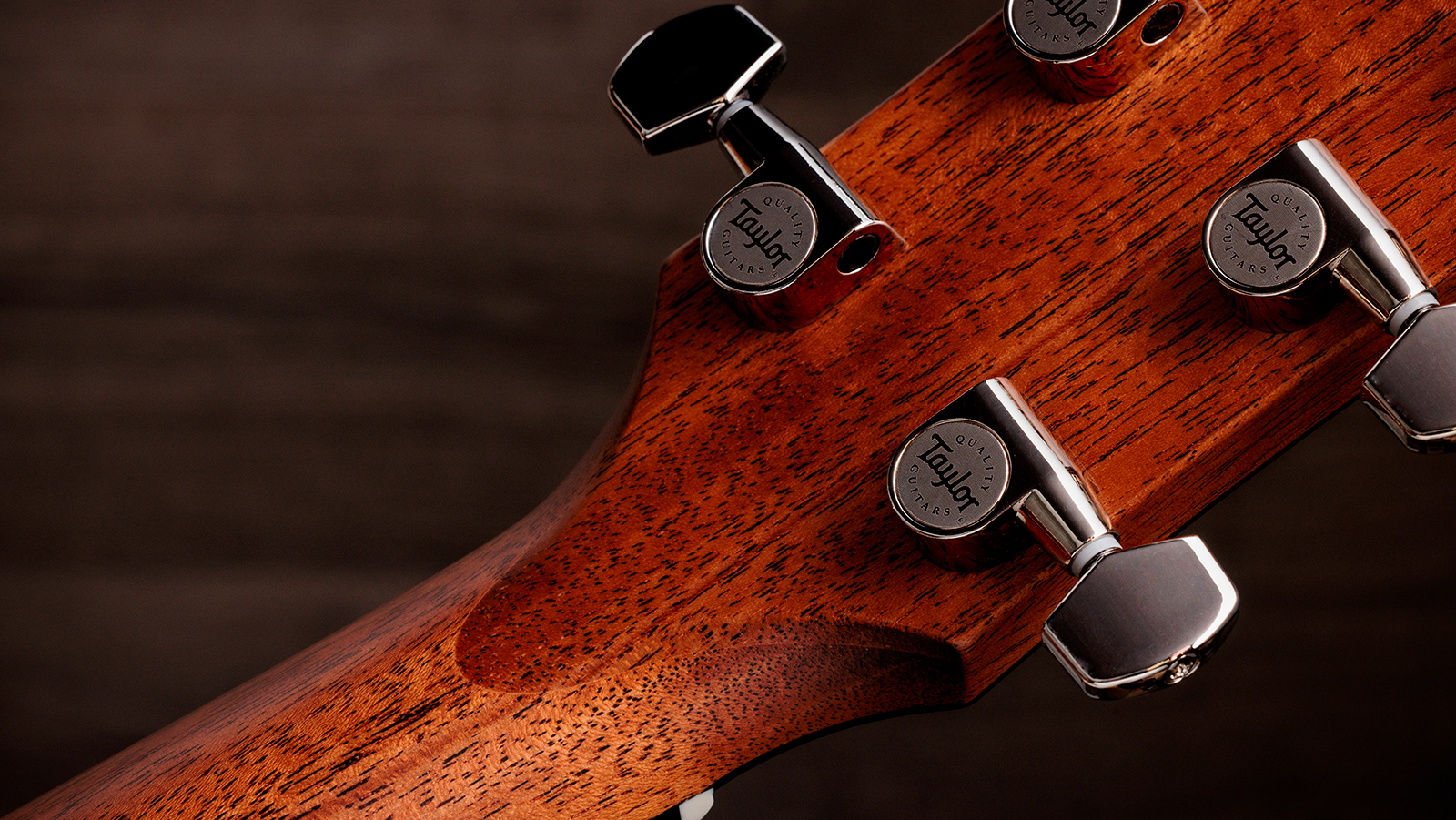 Taylor 512e Gold Label Grand Concert Cw Epicea Acajou Eb Lr Baggs - Natural - Guitare Folk - Variation 8