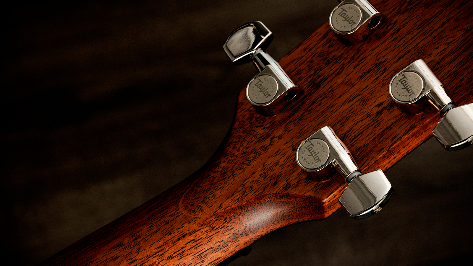 Taylor 514ce Next Gen. Grand Auditorium Cw Cedre Acajou Eb - Natural - Guitare Folk - Variation 8