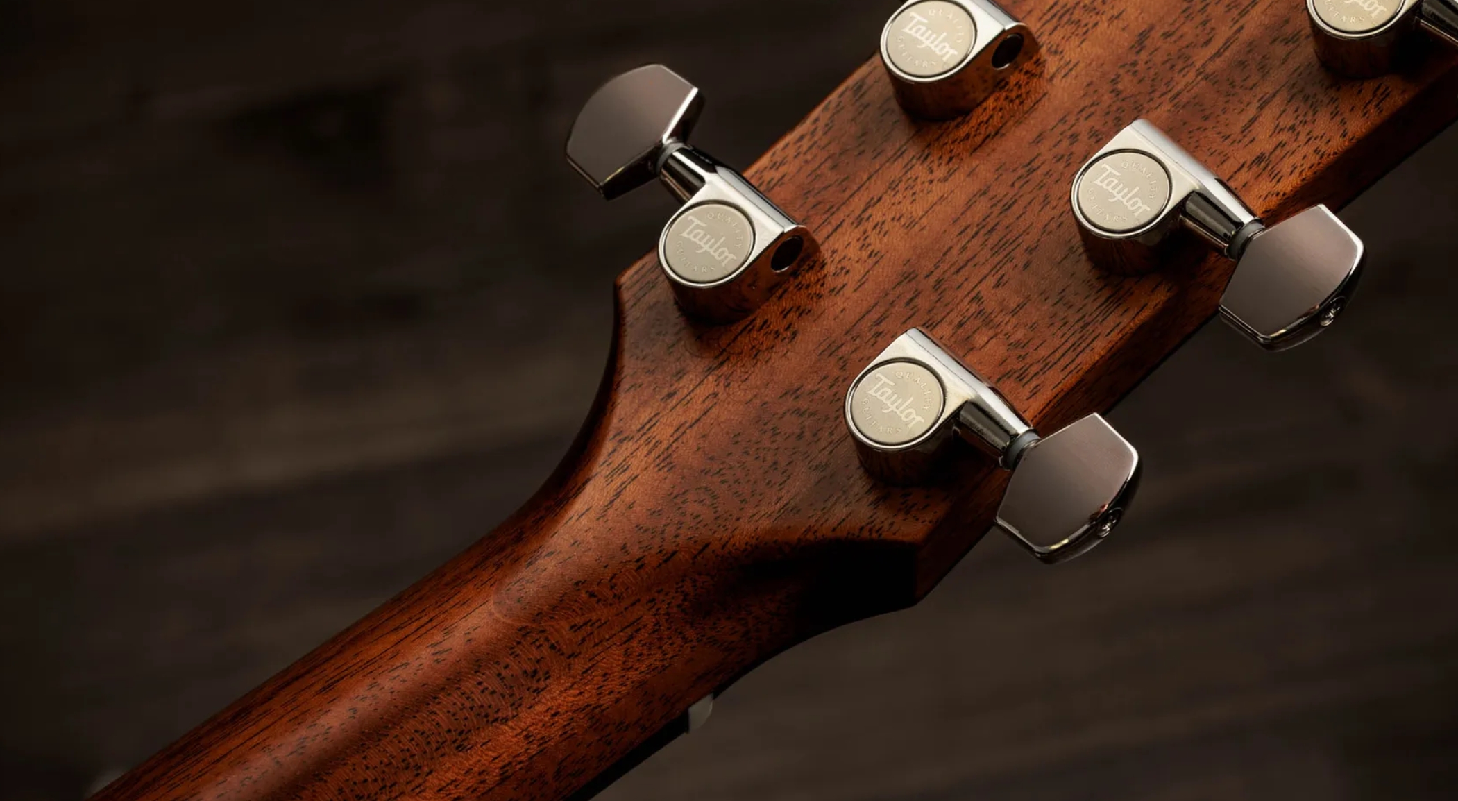 Taylor 517e Gold Label Grand Pacific Epicea Acajou Eb - Natural - Guitare Folk - Variation 9