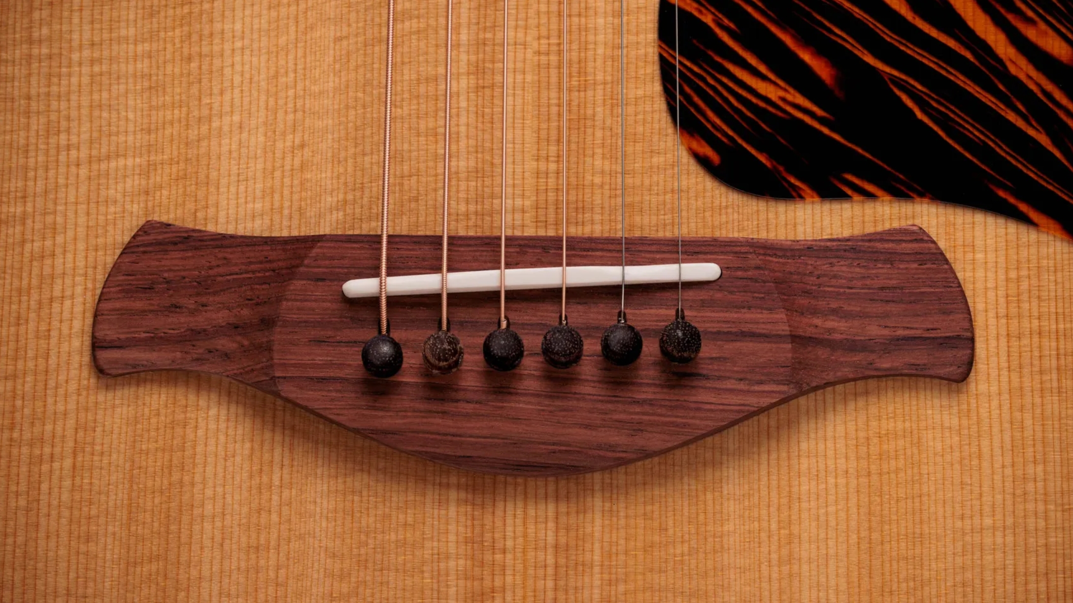 Taylor 517e Gold Label Grand Pacific Epicea Acajou Eb - Natural - Guitare Folk - Variation 4