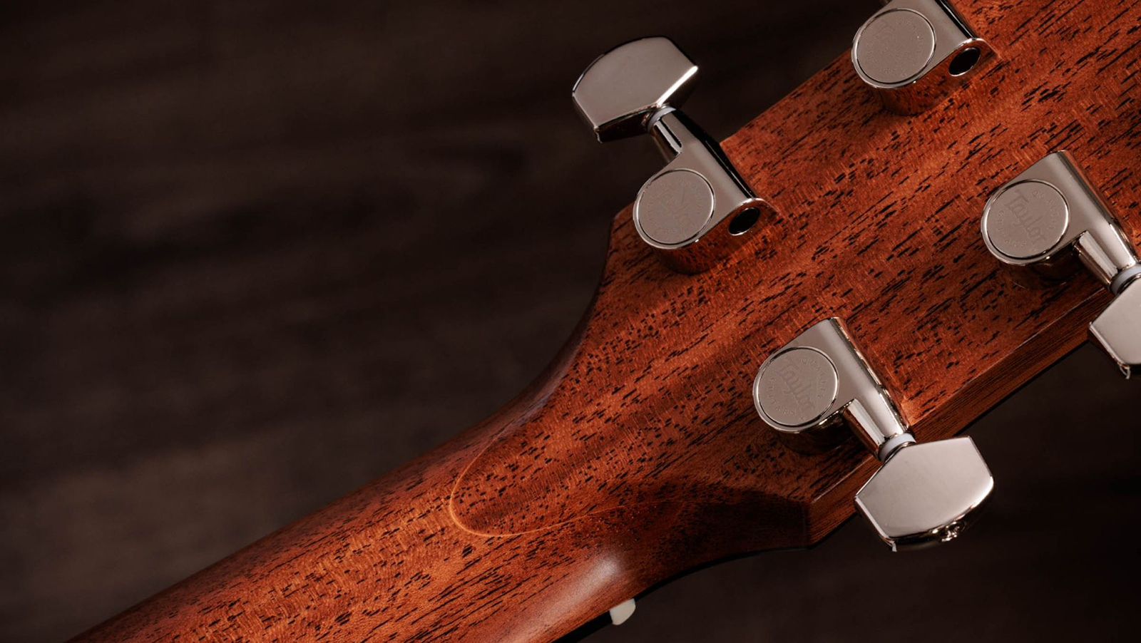Taylor 517e Sb Gold Label Grand Pacific Epicea Acajou Eb - Sunburst Firestripe Pickguard - Guitare Folk - Variation 10