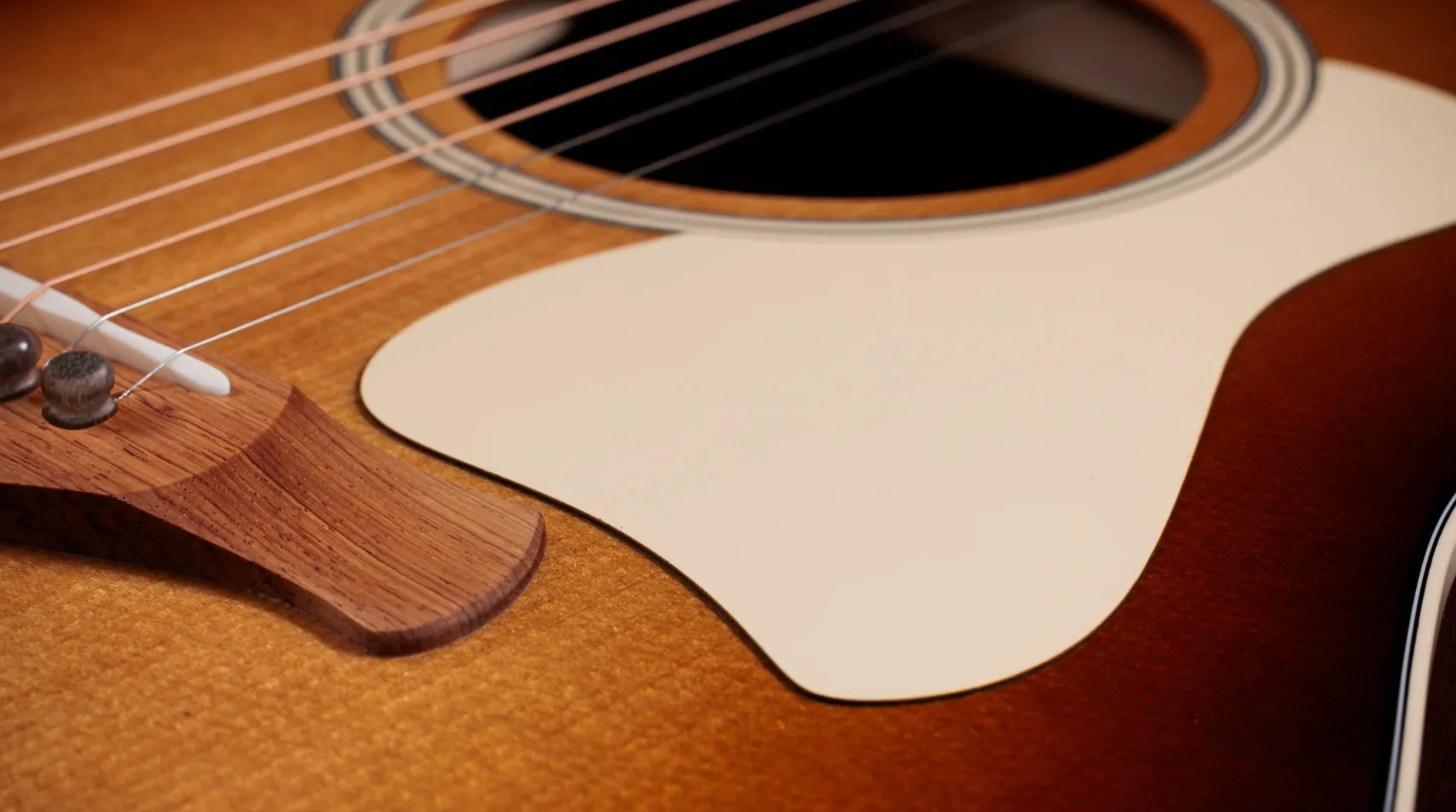 Taylor 517e Sb Gold Label Grand Pacific Epicea Acajou Eb - Sunburst W/ Cream Pickguard - Guitare Folk - Variation 3