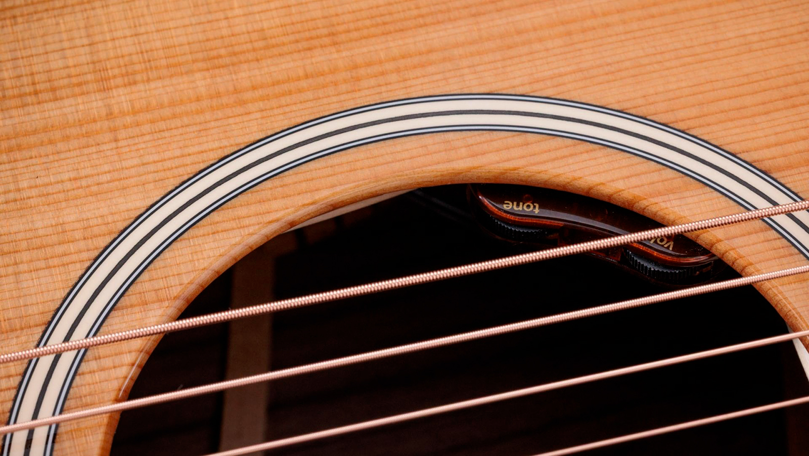 Taylor 714e Gold Label Firestripe Pg Gold Label Super Auditorium Cw Epicea Palissandre Eb Lr Baggs - Natural - Guitare Folk - Variation 5