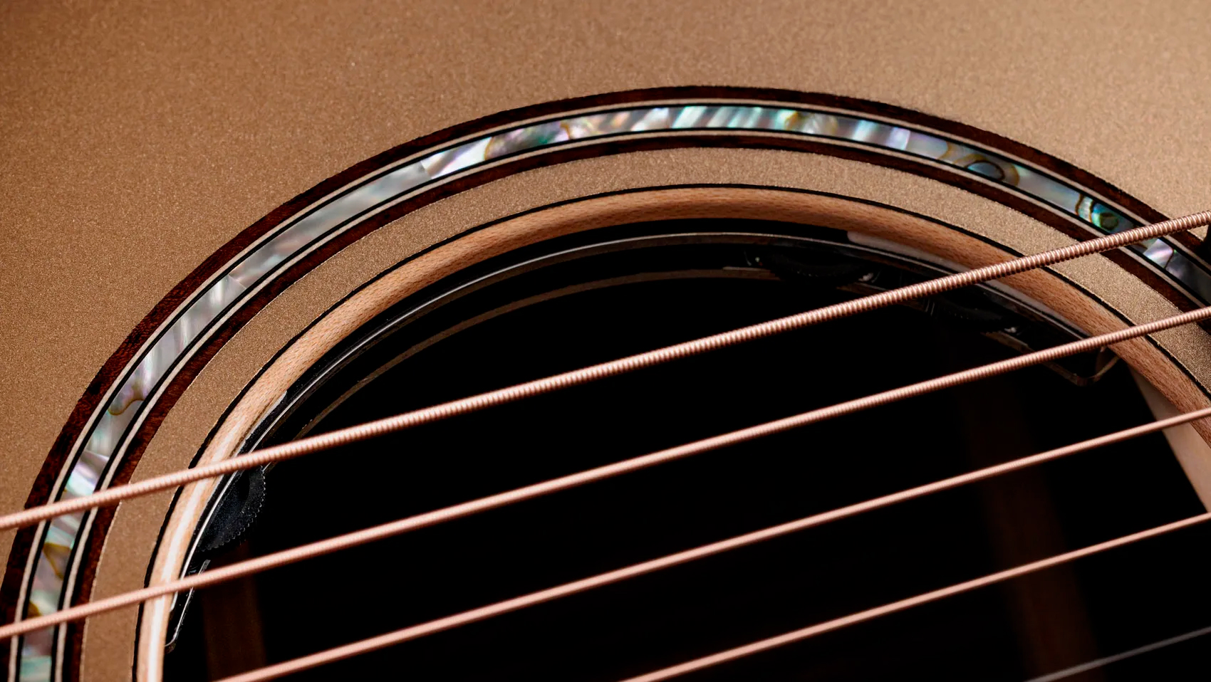 Taylor 814ce Ltd Casablanca Beige Top - Casablanca Beige Metallic - Guitare Folk - Variation 5