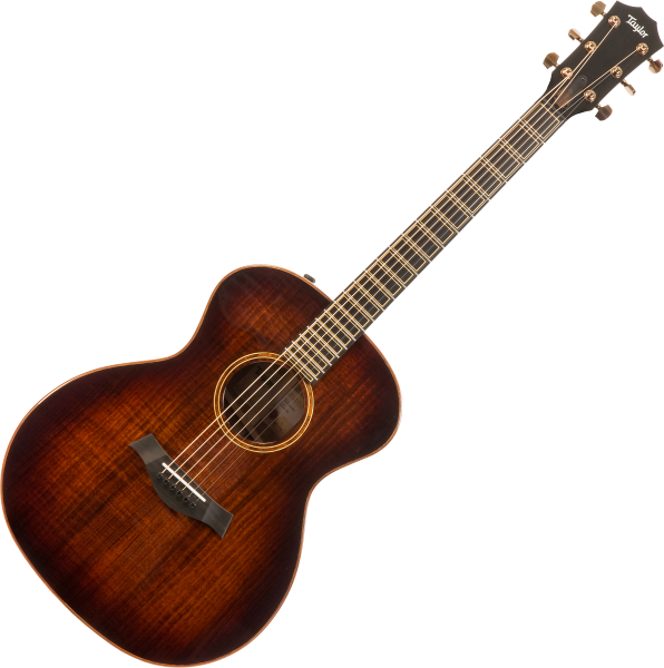 Taylor ctm GA-Mahogany V-Class Taylor V-Class | Tropical 322ce case