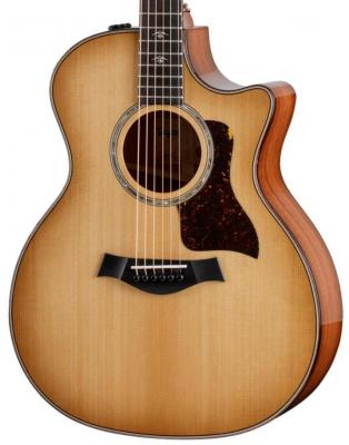 Guitare electro acoustique Taylor 514ce Urban Ironbark/Torrefied Sitka - Natural