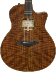 Guitare acoustique Taylor Custom GS-e #B9675 - Natural