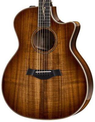 Taylor K24ce V-Class Bracing 2018