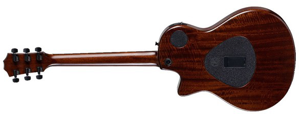 Taylor T5z Standard Epicea Sapele Eb - Honey Sunburst - Guitare Électrique 1/2 Caisse - Variation 1