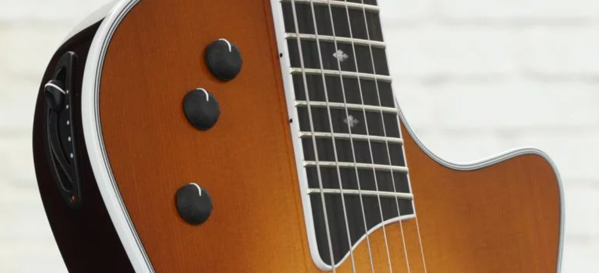 Taylor T5z Standard Epicea Sapele Eb - Honey Sunburst - Guitare Électrique 1/2 Caisse - Variation 2
