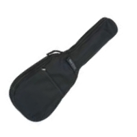 GB10C Acoustic 4/4 Gig Bag