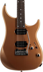 Guitare électrique forme str Vigier                         Excalibur Thirteen - Monarchy gold