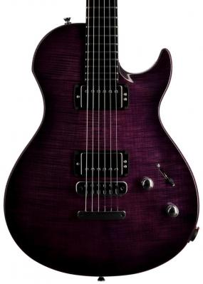Guitare électrique solid body Vigier                         G.V. Wood - Purple fade