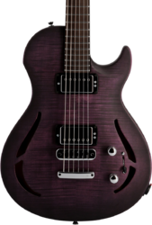 Guitare électrique 1/2 caisse Vigier                         G.V. Wood Hollow - Purple fade