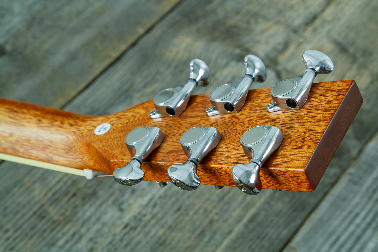Wesland Bg350-nat Travel Shsc Tout Acajou Tec - Natural - Guitare Folk - Variation 8
