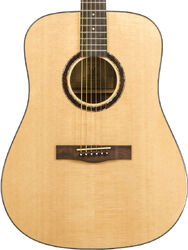 Guitare folk Wesland DR1-W - Natural