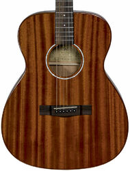 Guitare folk Wesland OM15 NAT - Natural