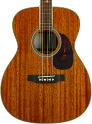 Guitare folk Wesland OM750-NAT - natural