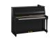 B20 PE Silent Piano