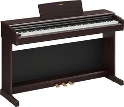 YDP-146 R