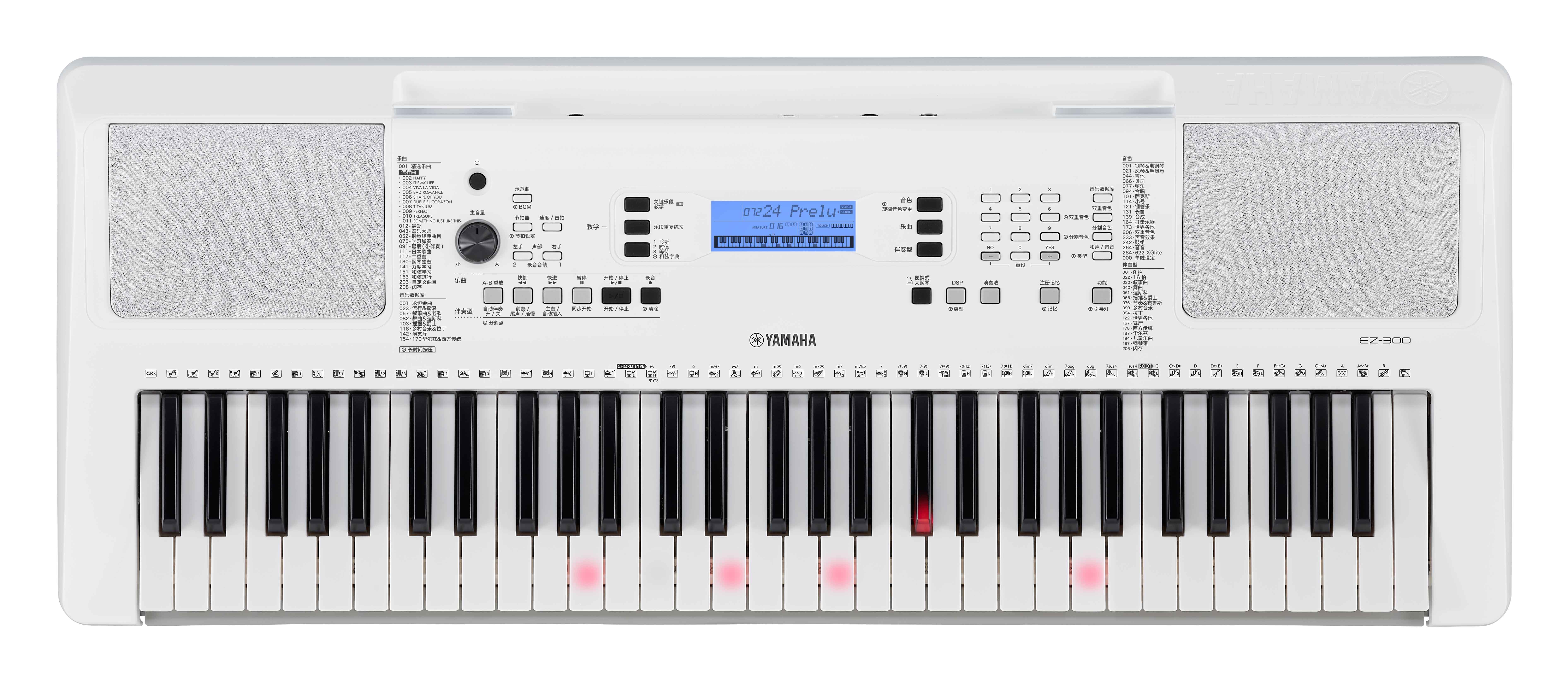 Yamaha Ez 300 - Clavier Arrangeur - Variation 1