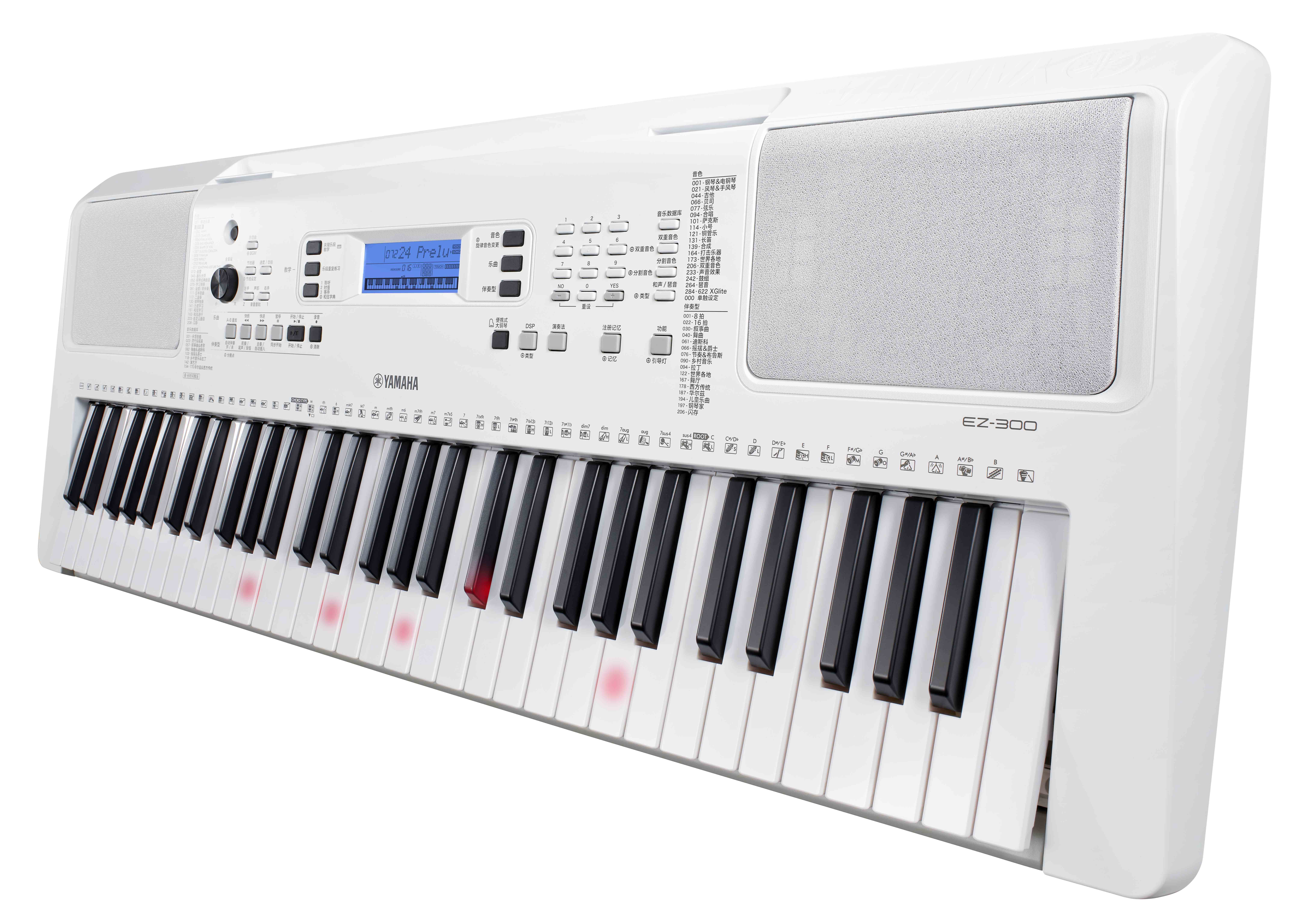 Yamaha Ez 300 - Clavier Arrangeur - Variation 2