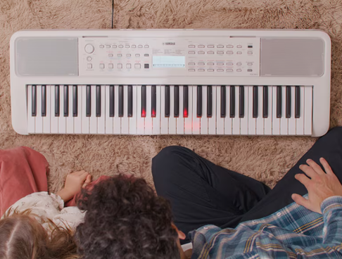 Yamaha Ez-310 - Clavier Arrangeur - Variation 4