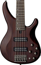 TRBX505 TBN - translucent brown