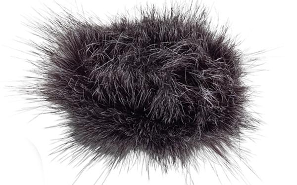 Zoom WSH-1e - Bonnette en mousse Bonnette & windjammer micro
